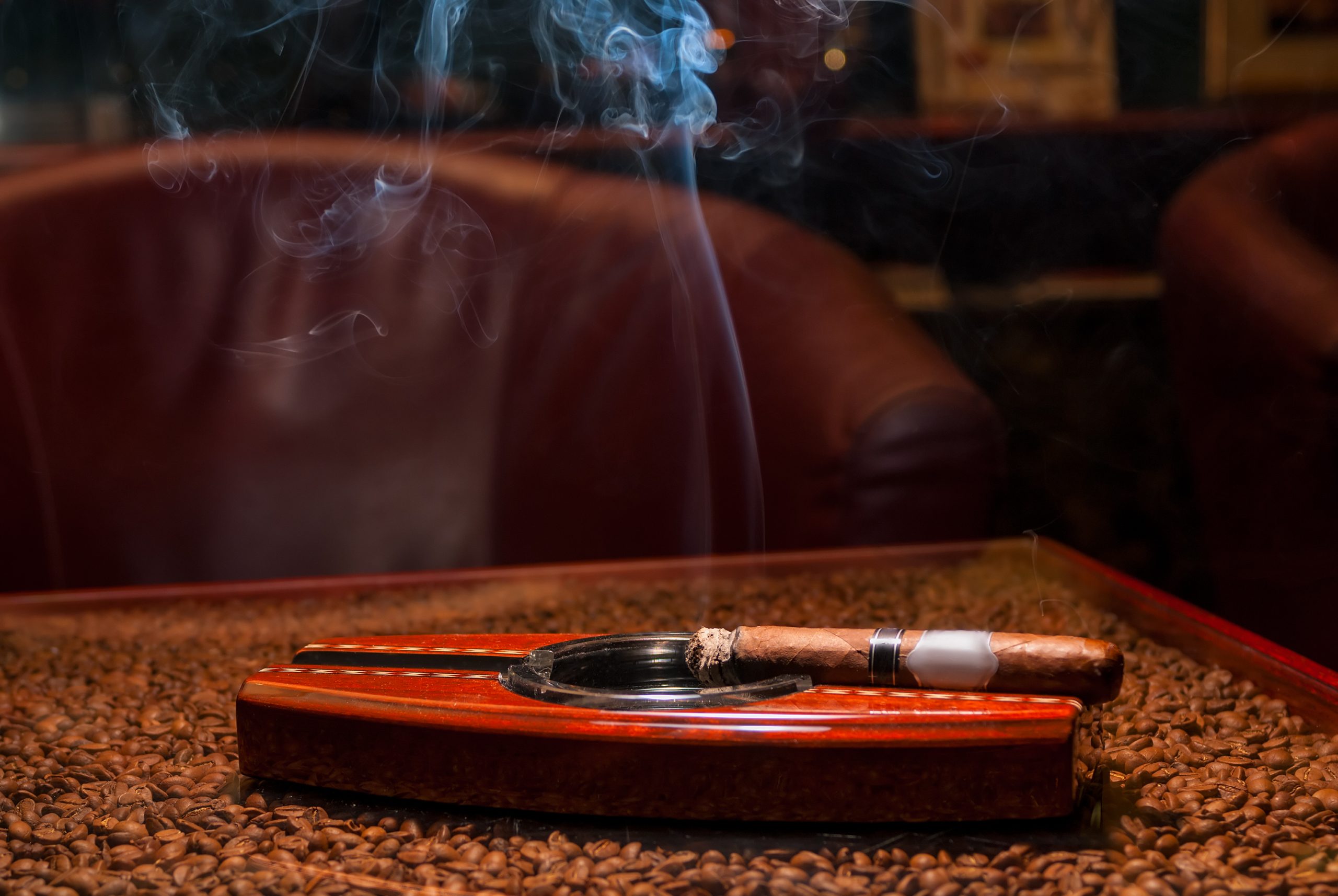 Expensive cigar on a holder, on a table with coffee beans.